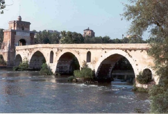 pontemilvio